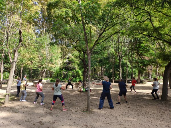 Cursos trimestrals de Qi Gong parcialment subvencionats